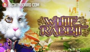 Double Fortune รีวิว